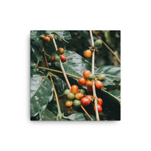 Load image into Gallery viewer, coffee canvas