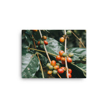 Load image into Gallery viewer, coffee canvas