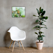 Load image into Gallery viewer, Coffee Canvas | Fresh Coffee Bean & Rain