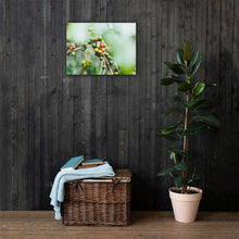 Load image into Gallery viewer, Coffee Canvas | Fresh Coffee Bean & Rain