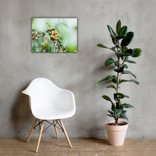 Load image into Gallery viewer, Coffee Canvas | Fresh Coffee Bean & Rain