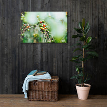 Load image into Gallery viewer, Coffee Canvas | Fresh Coffee Bean & Rain