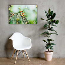 Load image into Gallery viewer, Coffee Canvas | Fresh Coffee Bean & Rain