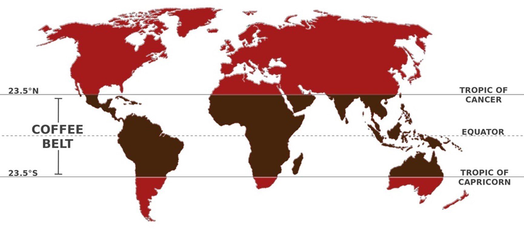 The Best Countries To Grow Coffee And How Altitudes Affect Flavor Prof the-best-countries-to-grow-coffee-and-how-altitudes-affect-flavor-prof